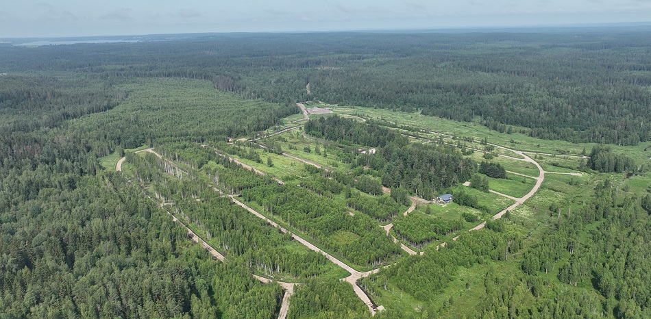фото: Мичурино парк